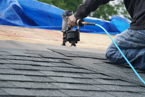 Best Roof Gutter Cleaning  in Carbon Hill, AL